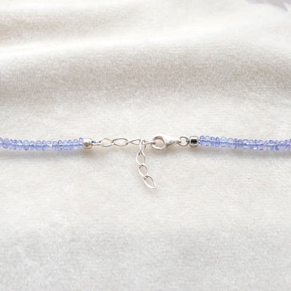Natural Tanzanite Pearl Necklace for Women - Worn Neck View